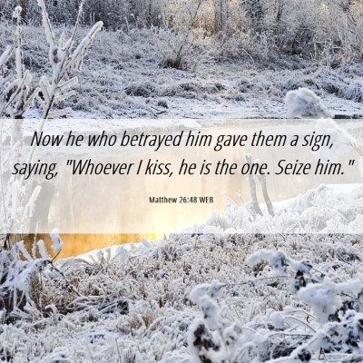 Picture 06 - Matthew 26:48 WEB - Now he who betrayed him gave them a sign, saying, - Bible Verse Picture