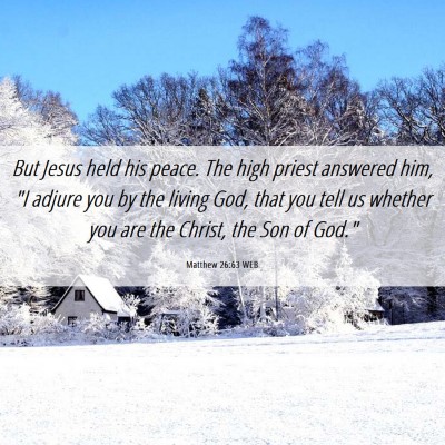 Picture 06 - Matthew 26:63 WEB - But Jesus held his peace. The high priest - Bible Verse Picture