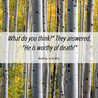 Picture 06 - Matthew 26:66 WEB - What do you think?