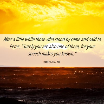 Picture 06 - Matthew 26:73 WEB - After a little while those who stood by came and - Bible Verse Picture