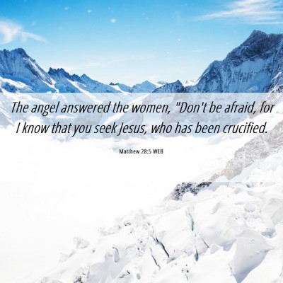Picture 06 - Matthew 28:5 WEB - The angel answered the women, 