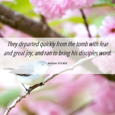 Picture 06 - Matthew 28:8 WEB - They departed quickly from the tomb with fear and - Bible Verse Picture