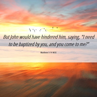 Picture 06 - Matthew 3:14 WEB - But John would have hindered him, saying, 