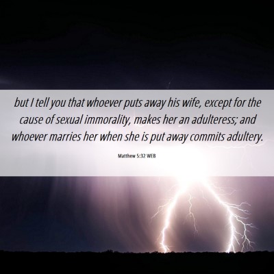 Picture 06 - Matthew 5:32 WEB - but I tell you that whoever puts away his wife, - Bible Verse Picture