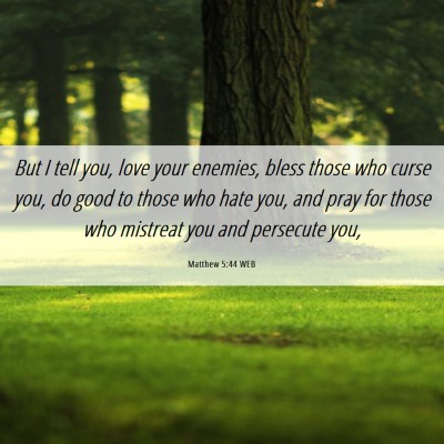 Picture 06 - Matthew 5:44 WEB - But I tell you, love your enemies, bless those - Bible Verse Picture