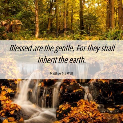 Picture 06 - Matthew 5:5 WEB - Blessed are the gentle, For they shall inherit - Bible Verse Picture