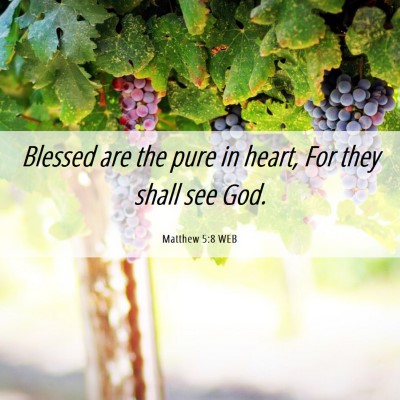 Picture 06 - Matthew 5:8 WEB - Blessed are the pure in heart, For they shall see - Bible Verse Picture