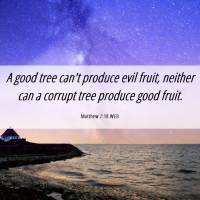 Picture 06 - Matthew 7:18 WEB - A good tree can't produce evil fruit, neither can - Bible Verse Picture
