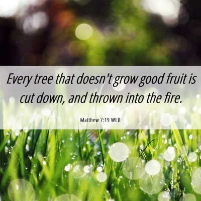 Picture 06 - Matthew 7:19 WEB - Every tree that doesn't grow good fruit is cut - Bible Verse Picture
