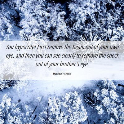 Picture 06 - Matthew 7:5 WEB - You hypocrite! First remove the beam out of your - Bible Verse Picture