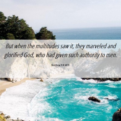 Picture 06 - Matthew 9:8 WEB - But when the multitudes saw it, they marveled and - Bible Verse Picture