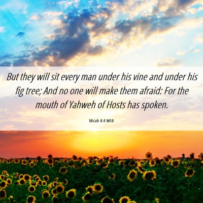 Picture 06 - Micah 4:4 WEB - But they will sit every man under his vine and - Bible Verse Picture
