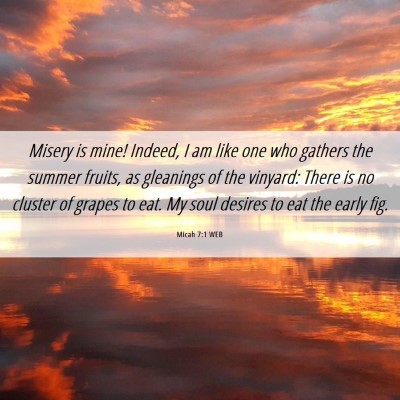 Picture 06 - Micah 7:1 WEB - Misery is mine! Indeed, I am like one who gathers - Bible Verse Picture