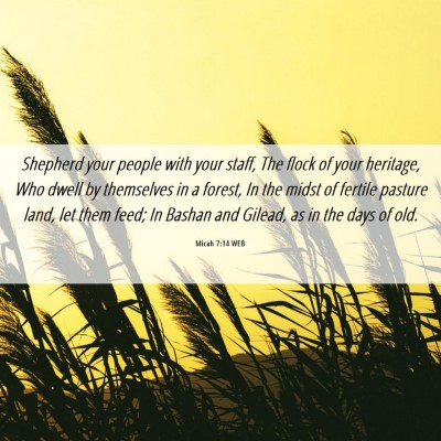 Picture 06 - Micah 7:14 WEB - Shepherd your people with your staff, The flock - Bible Verse Picture
