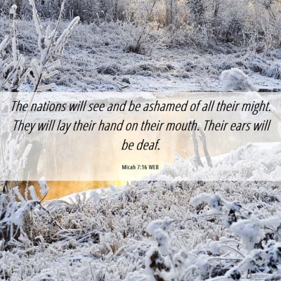Picture 06 - Micah 7:16 WEB - The nations will see and be ashamed of all their - Bible Verse Picture
