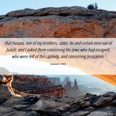 Picture 06 - Nehemiah 1:2 WEB - that Hanani, one of my brothers, came, he and - Bible Verse Picture