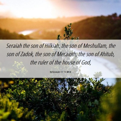 Picture 06 - Nehemiah 11:11 WEB - Seraiah the son of Hilkiah, the son of Meshullam, - Bible Verse Picture