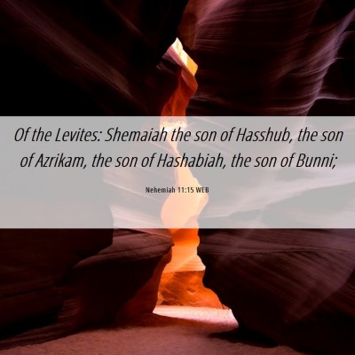 Picture 06 - Nehemiah 11:15 WEB - Of the Levites: Shemaiah the son of Hasshub, the - Bible Verse Picture