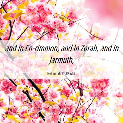 Picture 06 - Nehemiah 11:29 WEB - and in En-rimmon, and in Zorah, and in - Bible Verse Picture