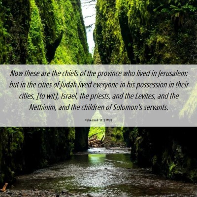 Picture 06 - Nehemiah 11:3 WEB - Now these are the chiefs of the province who - Bible Verse Picture