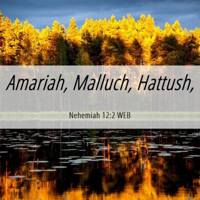 Picture 06 - Nehemiah 12:2 WEB - Amariah, Malluch, - Bible Verse Picture