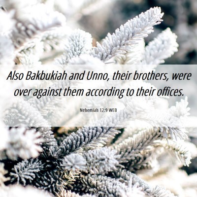 Picture 06 - Nehemiah 12:9 WEB - Also Bakbukiah and Unno, their brothers, were - Bible Verse Picture