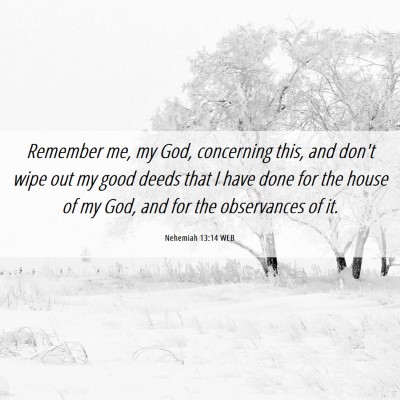 Picture 06 - Nehemiah 13:14 WEB - Remember me, my God, concerning this, and don't - Bible Verse Picture