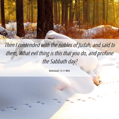 Picture 06 - Nehemiah 13:17 WEB - Then I contended with the nobles of Judah, and - Bible Verse Picture