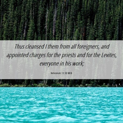 Picture 06 - Nehemiah 13:30 WEB - Thus cleansed I them from all foreigners, and - Bible Verse Picture