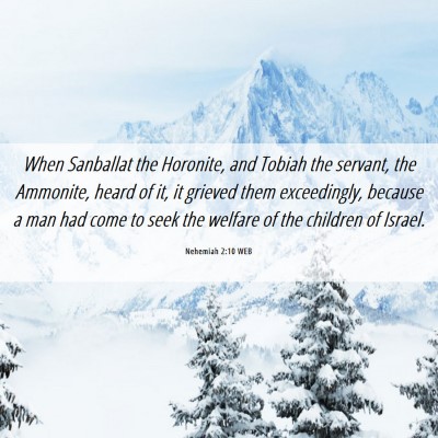 Picture 06 - Nehemiah 2:10 WEB - When Sanballat the Horonite, and Tobiah the - Bible Verse Picture