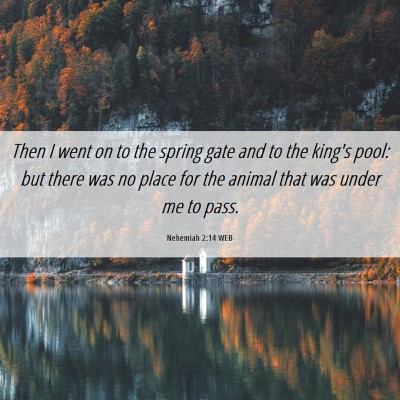Picture 06 - Nehemiah 2:14 WEB - Then I went on to the spring gate and to the - Bible Verse Picture