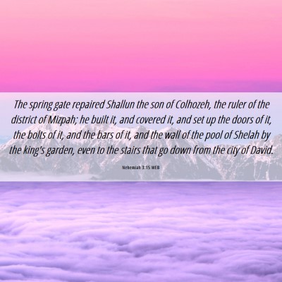 Picture 06 - Nehemiah 3:15 WEB - The spring gate repaired Shallun the son of - Bible Verse Picture