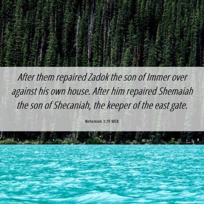 Picture 06 - Nehemiah 3:29 WEB - After them repaired Zadok the son of Immer over - Bible Verse Picture
