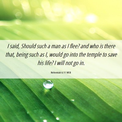 Picture 06 - Nehemiah 6:11 WEB - I said, Should such a man as I flee? and who is - Bible Verse Picture