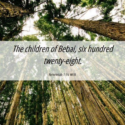 Picture 06 - Nehemiah 7:16 WEB - The children of Bebai, six hundred - Bible Verse Picture
