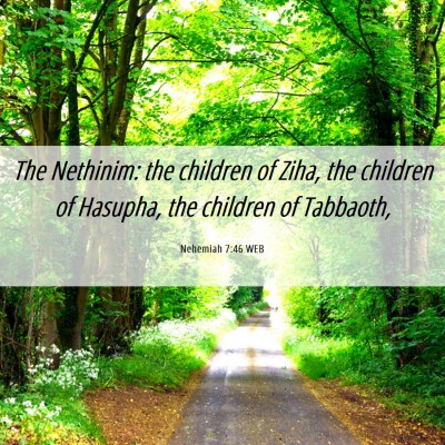 Picture 06 - Nehemiah 7:46 WEB - The Nethinim: the children of Ziha, the children - Bible Verse Picture