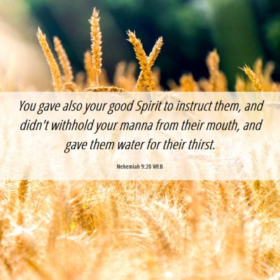 Picture 06 - Nehemiah 9:20 WEB - You gave also your good Spirit to instruct them, - Bible Verse Picture