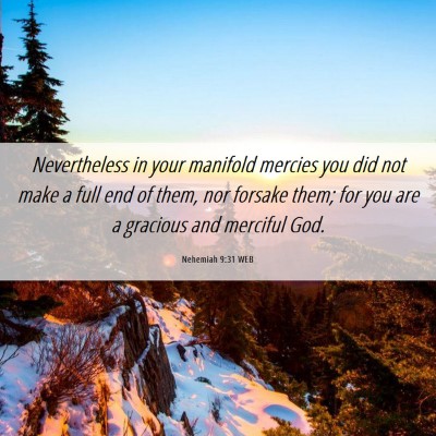 Picture 06 - Nehemiah 9:31 WEB - Nevertheless in your manifold mercies you did not - Bible Verse Picture