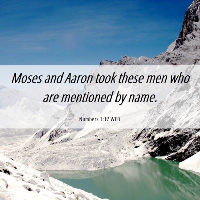 Picture 06 - Numbers 1:17 WEB - Moses and Aaron took these men who are mentioned - Bible Verse Picture