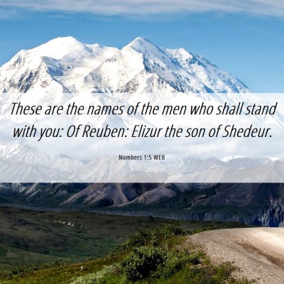 Picture 06 - Numbers 1:5 WEB - These are the names of the men who shall stand - Bible Verse Picture