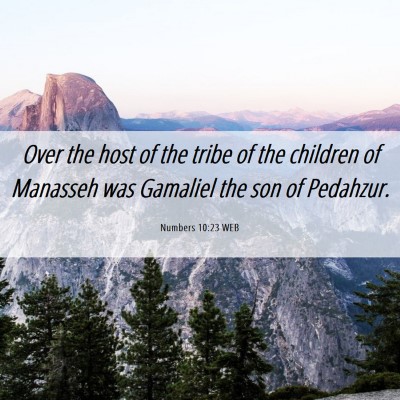 Picture 06 - Numbers 10:23 WEB - Over the host of the tribe of the children of - Bible Verse Picture
