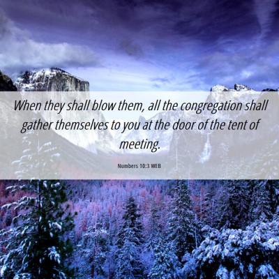 Picture 06 - Numbers 10:3 WEB - When they shall blow them, all the congregation - Bible Verse Picture