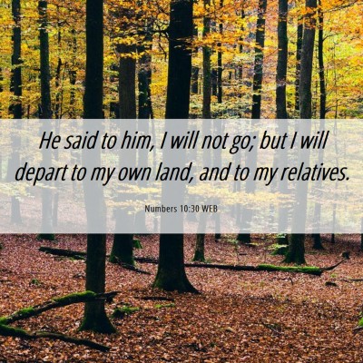 Picture 06 - Numbers 10:30 WEB - He said to him, I will not go; but I will depart - Bible Verse Picture