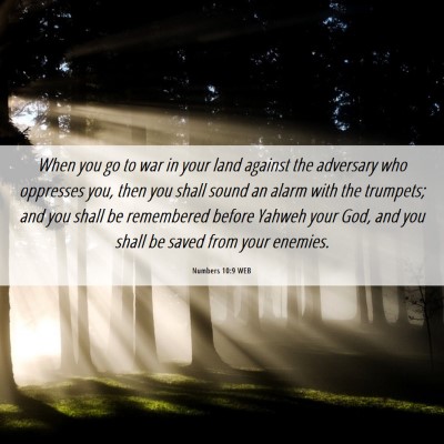 Picture 06 - Numbers 10:9 WEB - When you go to war in your land against the - Bible Verse Picture