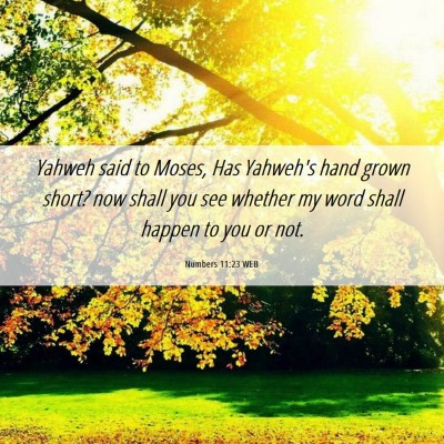 Picture 06 - Numbers 11:23 WEB - Yahweh said to Moses, Has Yahweh's hand grown - Bible Verse Picture