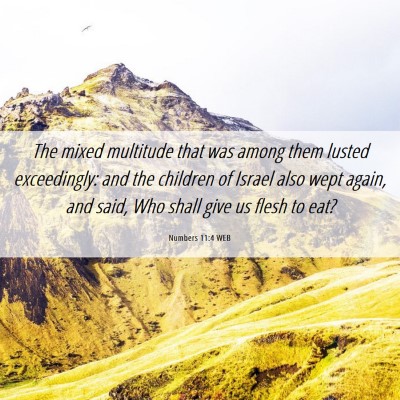 Picture 06 - Numbers 11:4 WEB - The mixed multitude that was among them lusted - Bible Verse Picture