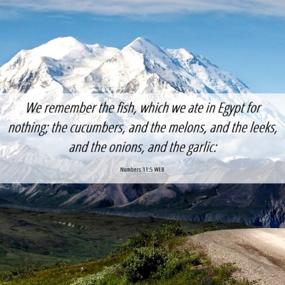 Picture 06 - Numbers 11:5 WEB - We remember the fish, which we ate in Egypt for - Bible Verse Picture