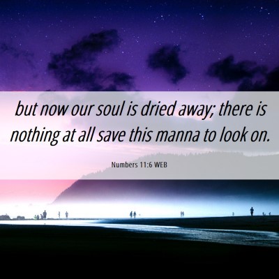 Picture 06 - Numbers 11:6 WEB - but now our soul is dried away; there is nothing - Bible Verse Picture