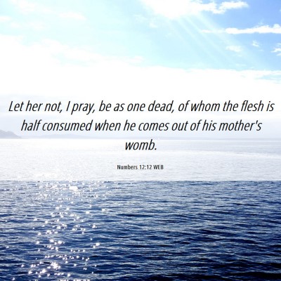 Picture 06 - Numbers 12:12 WEB - Let her not, I pray, be as one dead, of whom the - Bible Verse Picture
