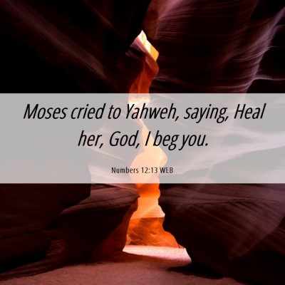 Picture 06 - Numbers 12:13 WEB - Moses cried to Yahweh, saying, Heal her, God, I - Bible Verse Picture